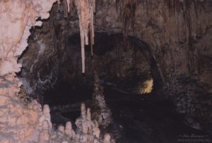 Carlsbad Caverns NP cave entrance