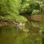 Congaree NP Cedar Creek canoeing