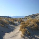 Death Valley NP Salt Creek dunes