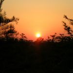 Everglades NP sunset