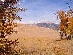 Great Sand Dunes NP fall at Mosca Creek