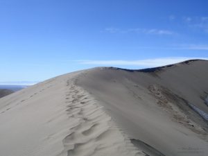 Great Sand Dunes NP tracks