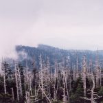 Great Smoky Mountains NP Clingmans Dome