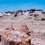 Petrified Forest NP trail
