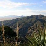Chiricahua NM Sugarloaf Mountain
