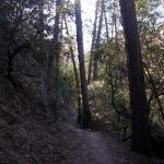 Chiricahua NM Echo Park trail