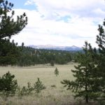 Florissant Fossil Beds NM Rocky Mountain meadow