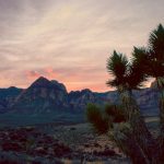 Red Rock Canyon NCA sunset