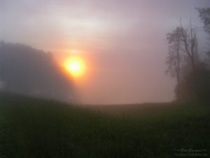 Shenandoah NP sun through fog