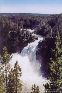 Yellowstone NP Upper Falls