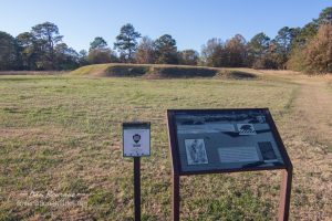 Ocmulgee Cornfield Mound