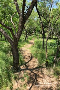 Waco Mammoth Eagle Trail