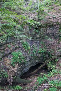 Mammoth Cave Dixon Cave