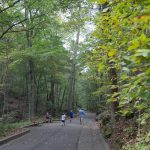 Mammoth Cave Paved Trail