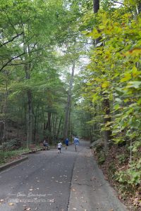 Mammoth Cave Paved Trail