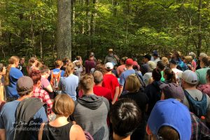 Mammoth Cave Tour Guide