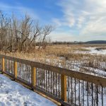 Mt Vernon Trail Dyke Marsh