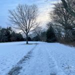 Mt Vernon Trail in winter