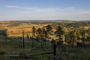 Devils Tower Belle Forche River View