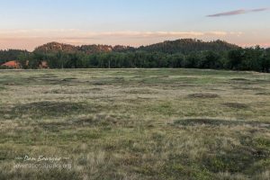 Devils Tower Prairie Dog Town