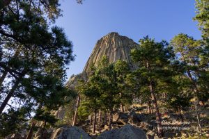 Devils Tower South Side Trees