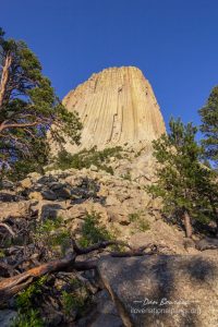 Devils Tower Tower Trail View