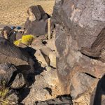 Petroglyph Boca Negra Canyon Mesa Point Trail