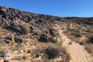 Petroglyph Piedras Marcadas Canyon Trail