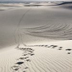 White Sands Alkali Flat Trail Footsteps