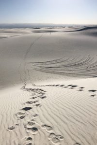 White Sands Alkali Flats Footsteps