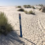 White Sands Dune Life Nature Trail