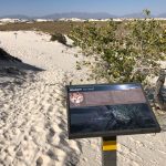 White Sands Dune Life Nature Trail Sign
