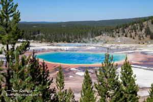 Yellowstone Grand Prismatic Spring overlook