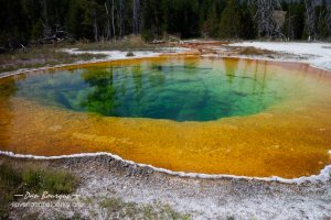 Yellowstone Upper Geyser Basin Morning Glory Pool