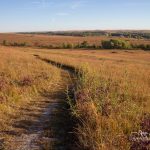 Tallgrass Prairie Southwind Nature Trail