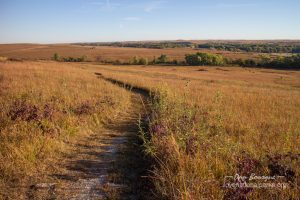 Tallgrass Prairie Southwind Nature Trail
