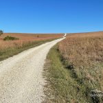Tallgrass Prairie Scenic Overlook Trail