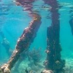 Dry Tortugas Piers