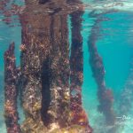 Dry Tortugas Old Piers